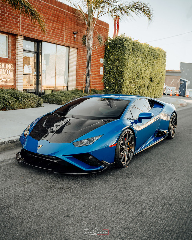 52328316208_7e9903ede5_c