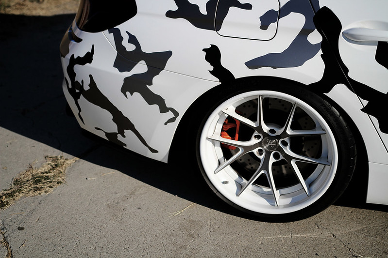 21035055190_6f9b87fec5_c