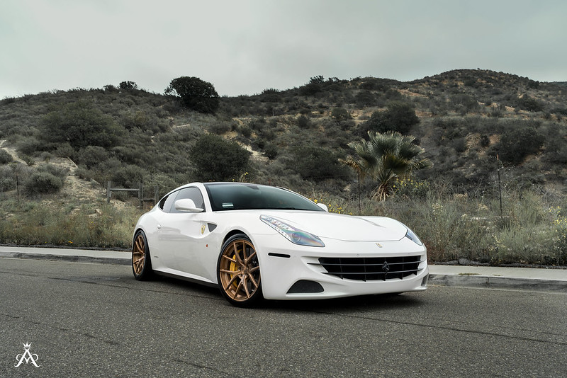 21740744754_277f616d92_c_1