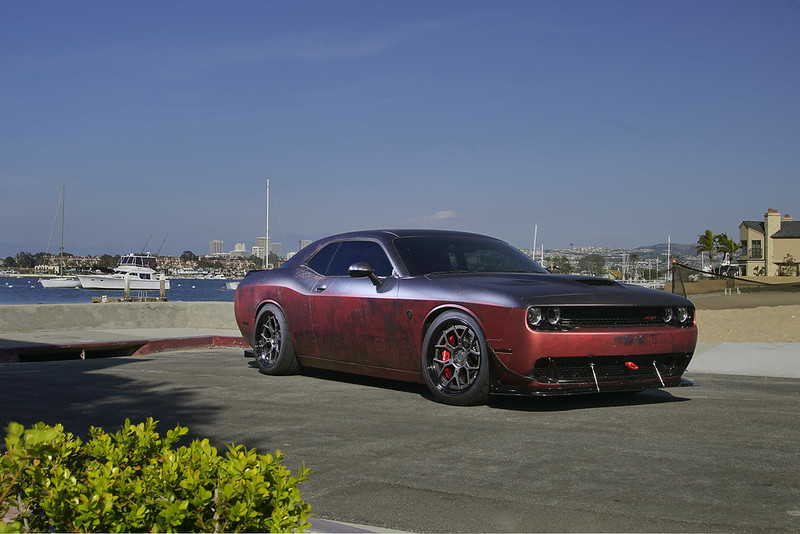 35250658302_cb67dfa665_c