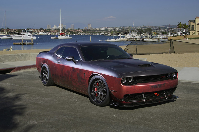 35250800622_7b5632f3be_c