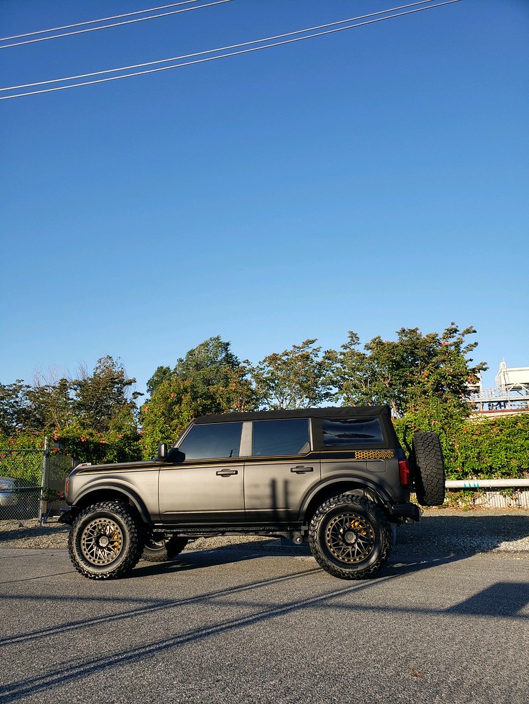 52272572302_60bf25aed3_b