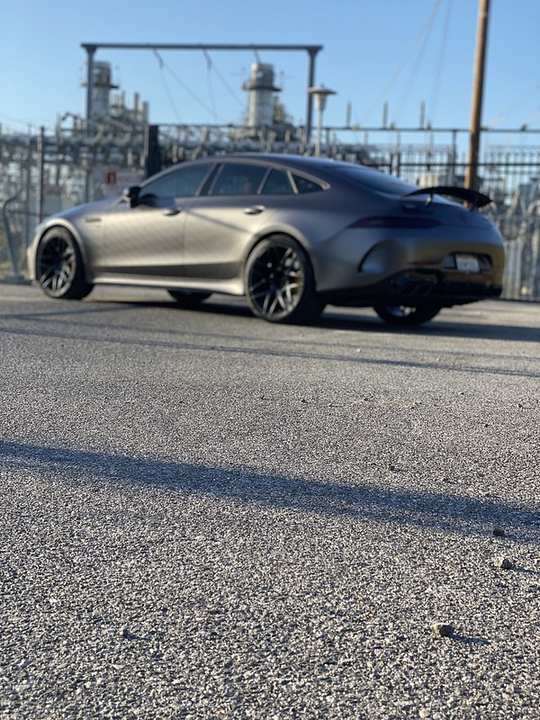 52273804614_72a3bbeefc_c