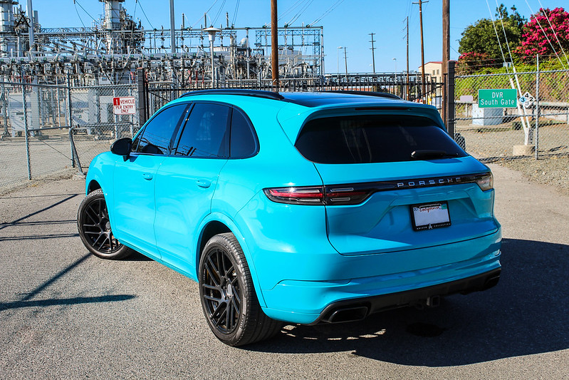 52321283185_4c48ddd8ae_c