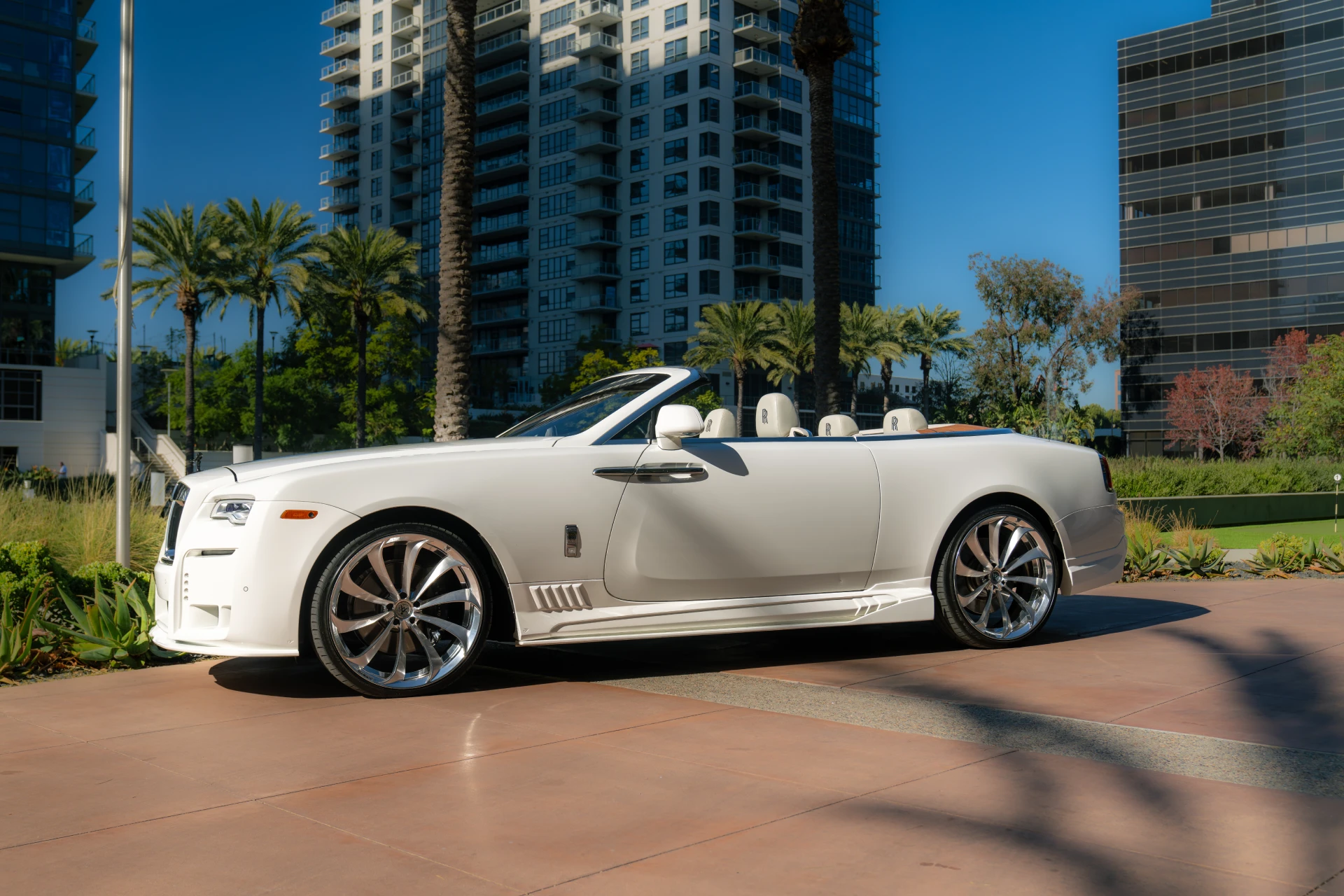 DSC03568-Enhanced-NR