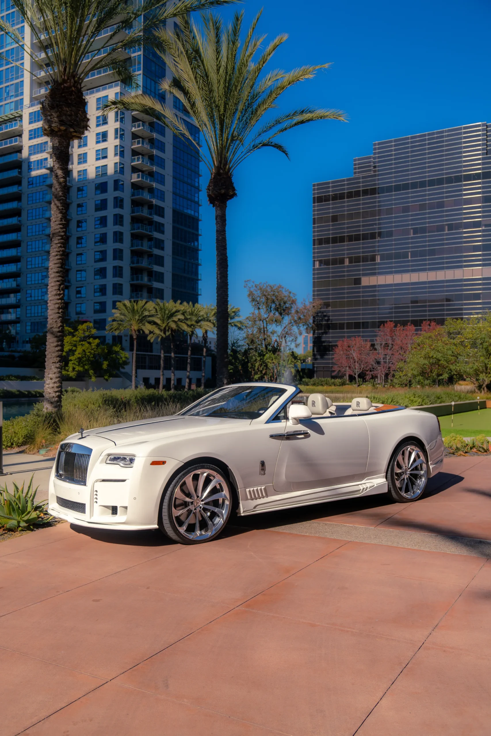 DSC03572-Enhanced-NR