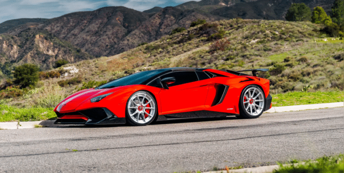 DSC09319-Edit4-1_with_bgc